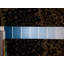 Walde Oriental Area Rug in Navy