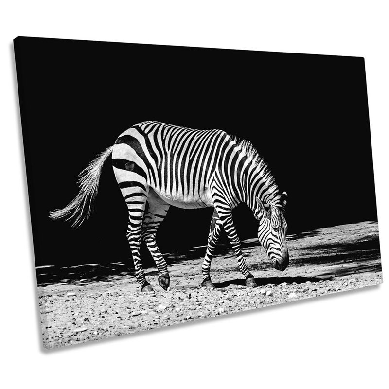 Black And White Zebra Framed - Wrapped Canvas Print, 30.5cm H x 45.7cm W x 2cm D
