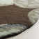 Mccullough Hand Tufted Wool Floral Rug
