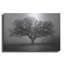 «Evening Mist» par Debra Van Swearingen-2078238825