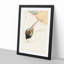Pheasant Couple by Ohara Koson - Picture Frame Painting Print-55732061-55732064