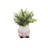 3.75'' Faux Eucalyptus Plant in Ceramic Pot