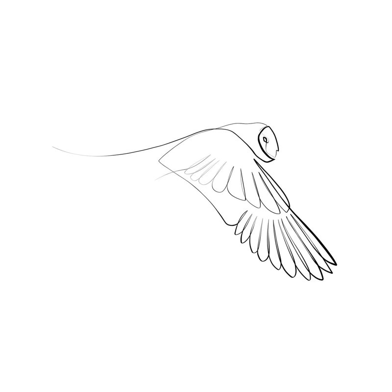 «Barn Owl» par Dane Khy - reproduction d'art sur toile tendue, H 40 po x l 60 po x 1,5 po