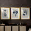 Fleurs bleu marine pressées I - reproduction sur mesure encadrée de qualité supérieure - 3 pièces-1627743815-1627743814