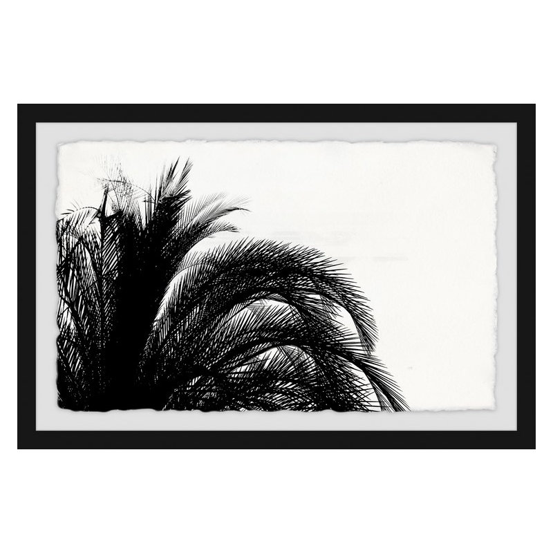 Palmier - feuillage - impression encadrée, H 8 po x l 12 po x P 1,5 po