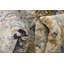 Beige oriental/Tapis décoratif gris Bellona-40276090
