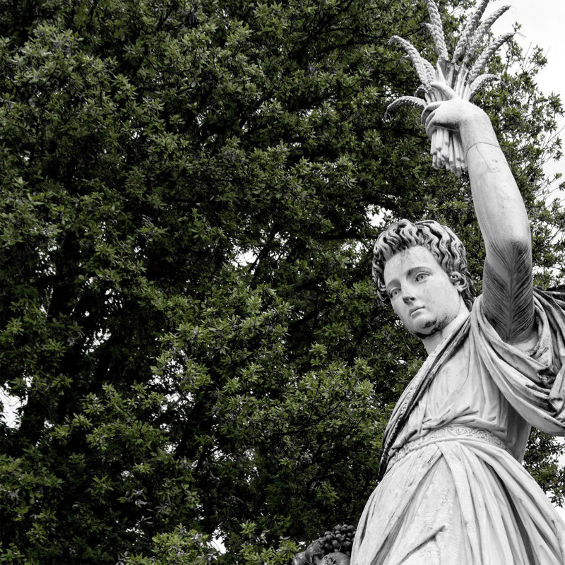 Révérence de jardin