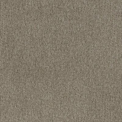 Échantillon gris tourterelle