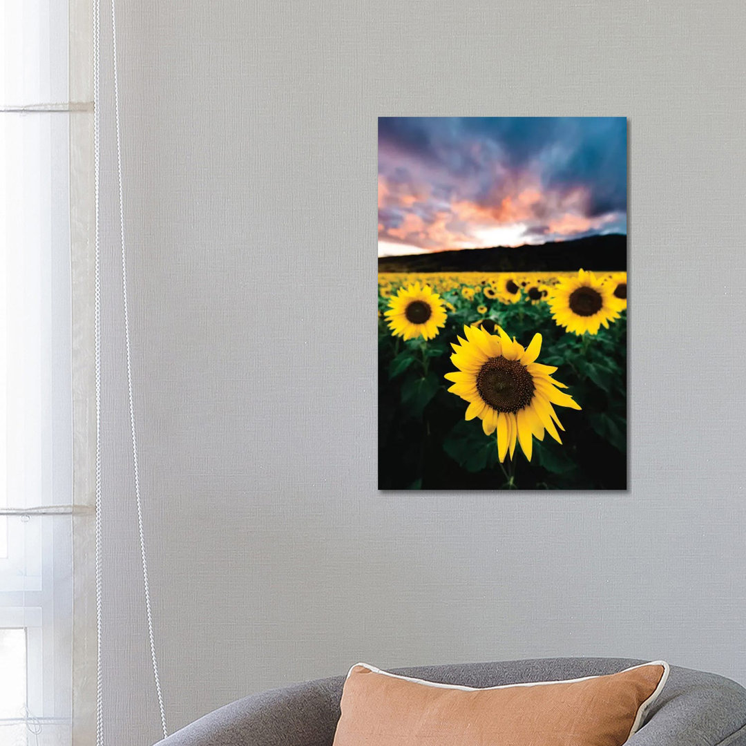 Sunflower Sunset by Lucas Moore - Wrapped Canvas Print