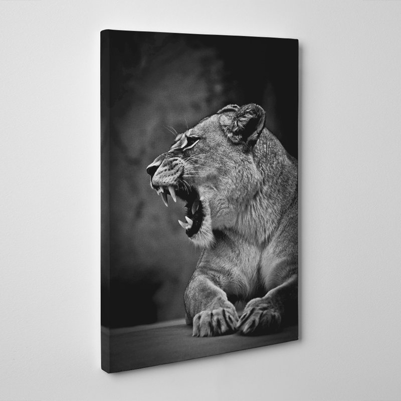 Fierce Lioness Lion - Wrapped Canvas Print, 60cm H x 40cm W