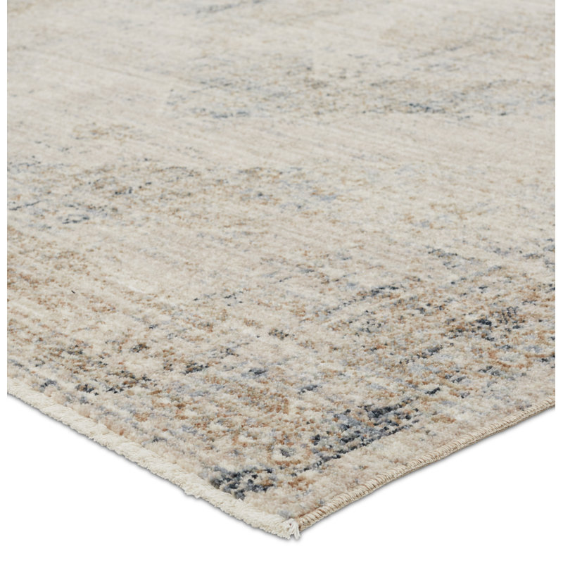 Davyion Oriental Indoor Rug, Rectangle 4' x 5'2"