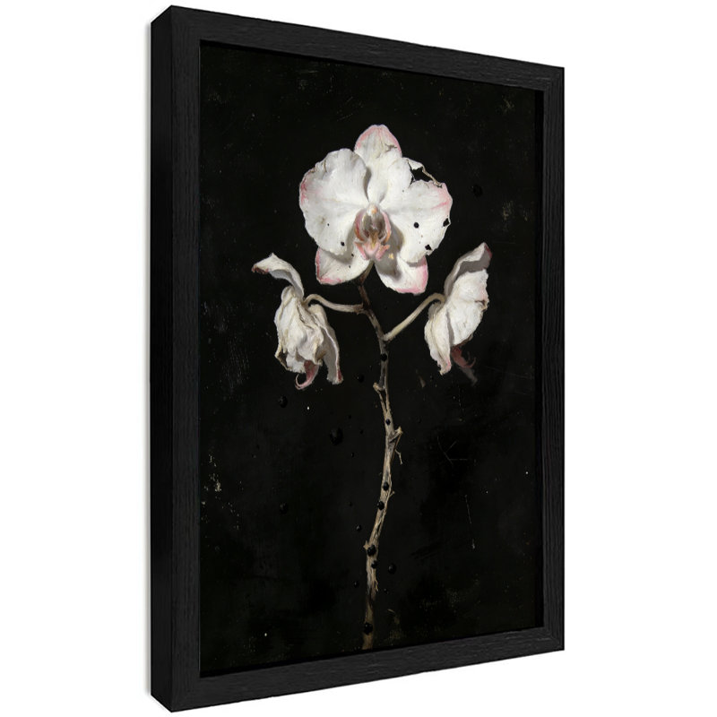 Reproduction d'art encadrée noire avec orchidée phalaenopsis, H 11 po x l 9 po