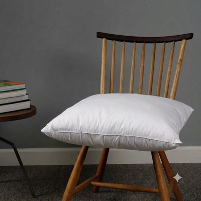 Pillow Insert - Basics by Wayfair™