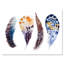 Ensemble de plumes colorées Boho - peinture sur toile-59760473-59760474