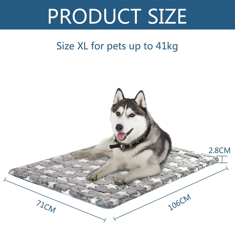 Beachwood Geometric Orthopedic Suede Pet Bed