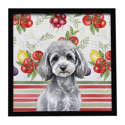 Toy Silver Poodle Vegetables Framed Metal Print