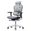 Tempur-Pedic Ergohuman GEN2 Hi Back Ergonomic Office Chair with Tempur-Pedic Seat, Synchro-Tilt, Adjustable Headrest, Arm Height Adjustment-22769656