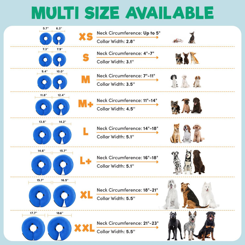  Collier gonflable en forme de cône de chien pour chiens et chats, collier de protection en E doux pour la récupération, collier réglable pour animal de compagnie - moyen, beignet