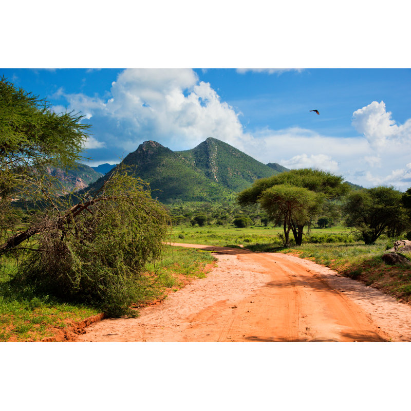 Tsavo West, Kenya, Africa by NiseriN - Wrapped Canvas Print, 30cm H x 46cm W x 3.8 D