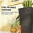 Set of 3 Flower Pots,Tall Planters-129086857