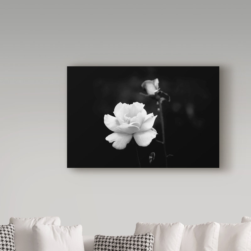 Modern & Contemporary, 30" H x 47" W