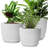 Celio Pot Planter-1978407225