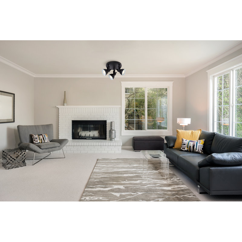 Colesville Spotlight, Black