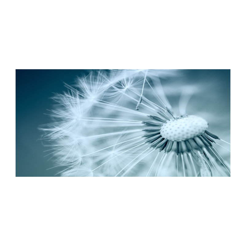 Dandelion - Wrapped Canvas Print