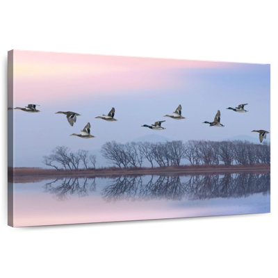 Crowle Pink Sky Over Ducks