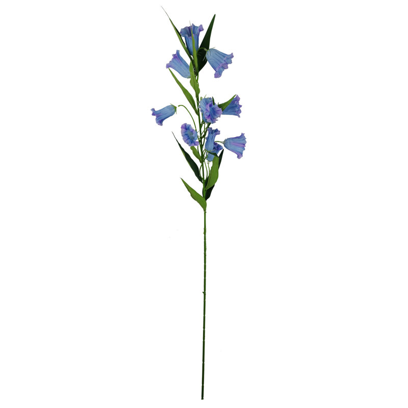 Antiqua Arrangement