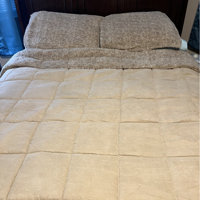 EDDIE BAUER Sherwood 2-Piece Green Solid Micro Suede Twin Comforter Set  USHSA51122302 - The Home Depot