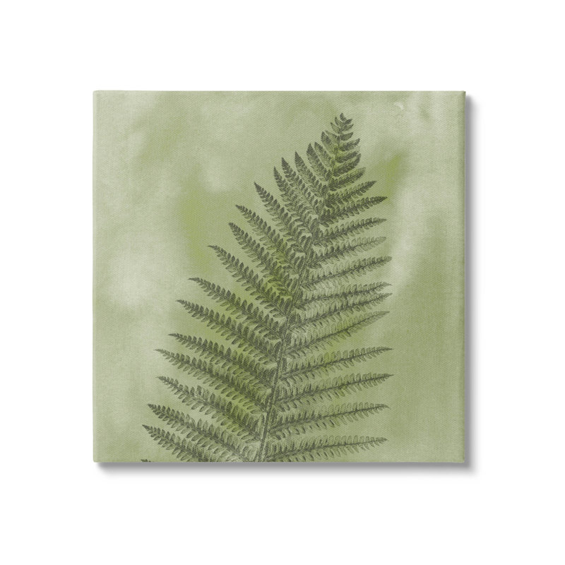 Art sauvage sur toile de fougère sauvage par Ziwei Li, L 24 po x H 24 po, Toile tendue