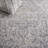 Oriental Light Gray/Ivory Area Rug-229481197