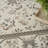 Oriental Indoor Rug-1737771428