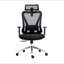 Truly Ergonomic Mesh Office Chair with Headrest & Lumbar Support, Black