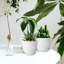 Pots à plantes d'intérieur avec drainage-1952380642