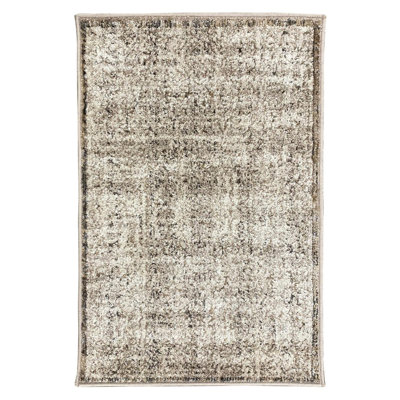 Vintage Distressed Area Rug