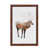 Brown Floater Framed is unavailable