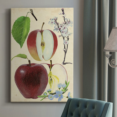 Apple & Blossom Study II " Apple And Blossom Study II "