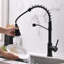 Robinet de cuisine avec douchette extractible et robinets d'évier de cuisine à poignée simple en acier inoxydable noir
