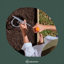 Aérateur de compost extérieur