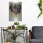 "Mastiff" par Barbara Keith-2040042920