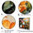 " Vibrant Botanical Plants Symphony " Print-990561163-990561162
