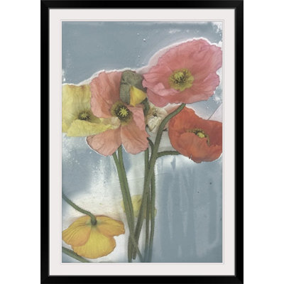 Poppy Spray " Poppy Spray II " by Jennifer Goldberger