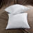 Polyester Sham-1185001058