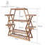 Anandwati Plant Stand