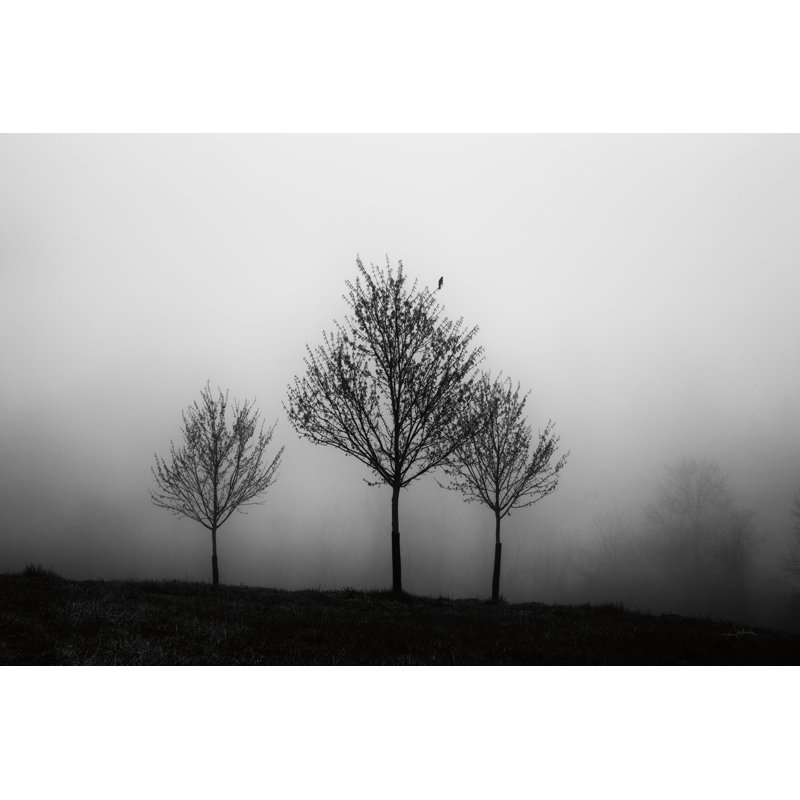 Dans le brouillard, H 32 po x l 48 po