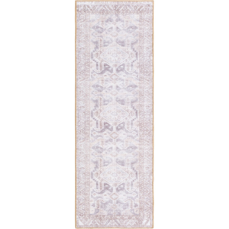 Mcclamma Chenille Oriental Indoor Rug, Runner 2' x 6'