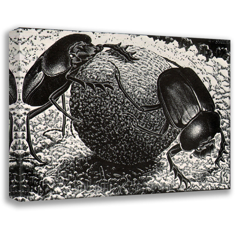 Toile tendue Scarebs par M.C.Escher Gallery, H 28 po x l 40 po