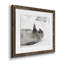 Laughing Seal - photographie avec cadre photo-1242266241-1242266242